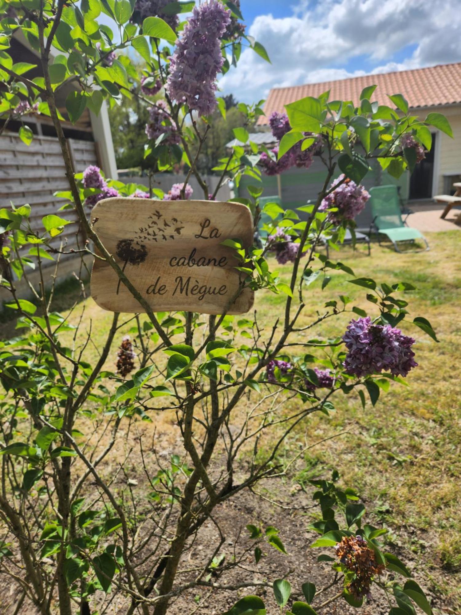 La Cabane De Megue Froidfond Esterno foto